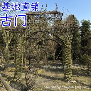 ����ֱ�N��ޱ��ƿ��ޱ���A����ޱͤ����ޱ̫������ޱ���͘�