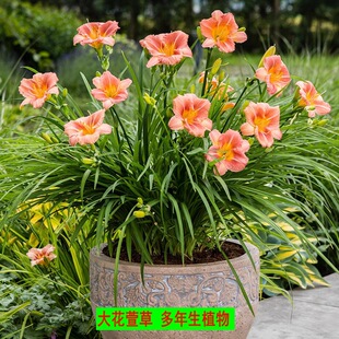 ����ݻ����ͺ��ذ��޸���������������Խ����޵ر�ֲ�����n��