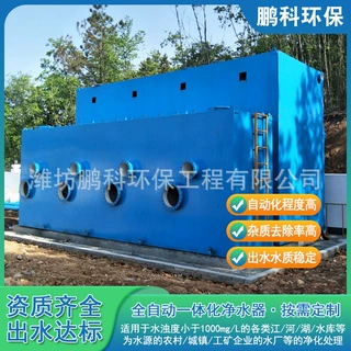 一体化净水器生产厂家农村饮用水净化设备自来水厂城乡供水工程