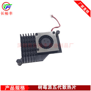 Raspberry Pi 5 Aluminum Alloy Heat Sink Raspberry Pi5 Fifth Generation Motherboard Active Radiator Fan