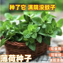 ʳ�ñ��ɷN����ò��̨ͥԺ�҃Ȼ����׷Nֲ�������ֲ�ﻨ�ܷN��