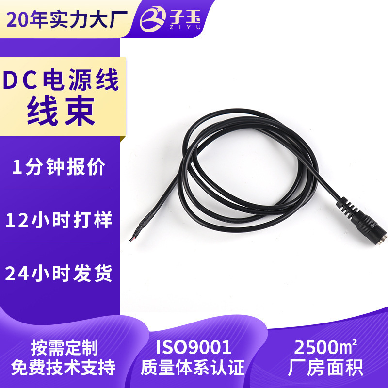 Shanghai Manufacturer Customized Dc Extension Cord Wiring Harness Female 5525 Male 5521 Single Head Dc Digital Wire Processing and Customization