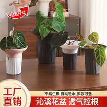 ���W�������Ϻ��s��ڏ����Ȃ��Ԅ�����ú����m���m�Gֲ���⻨��