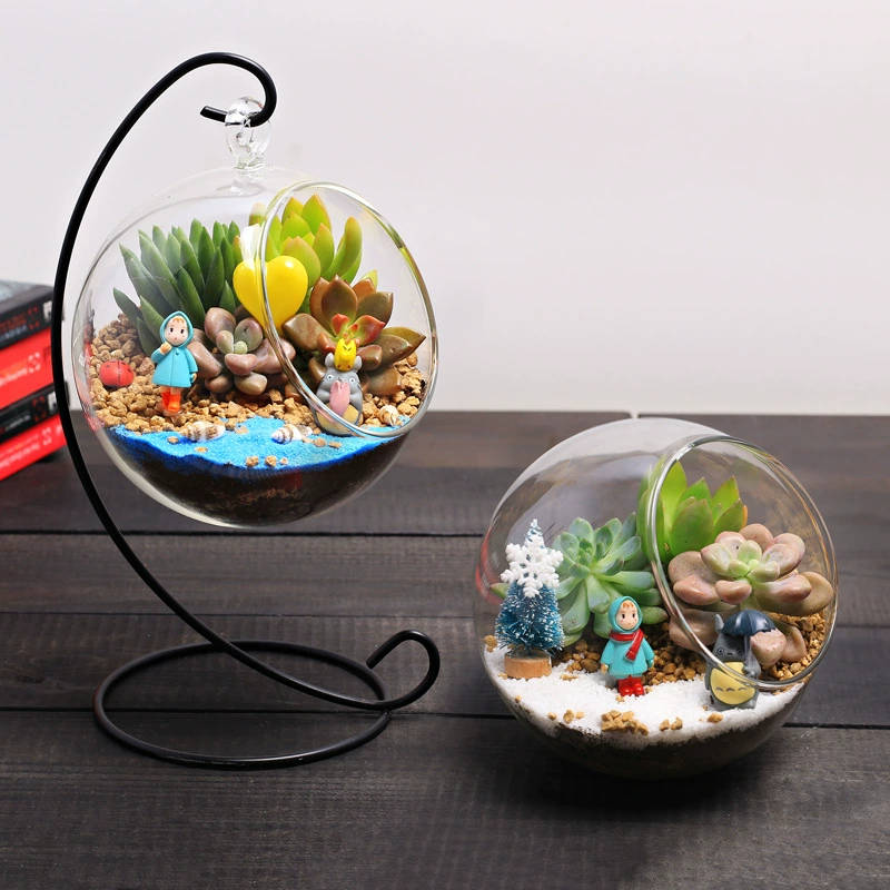 12 см стеклянная бутылка мясистый микропейзаж DIY материал сумка костюм Крытый мини-зеленое растение маленький горшечный костюм