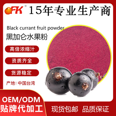 OFK牌黑加仑水果粉进口食品原料固体饮料速溶果汁粉