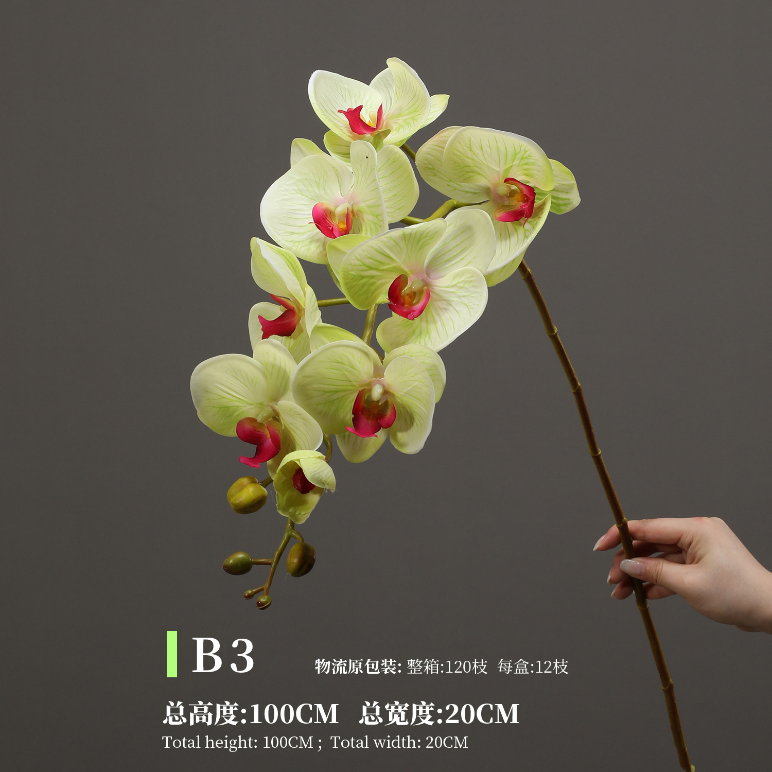 레드 하트 그린 B3