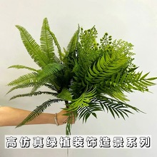 ֲ��ϵ��֮���в��ݷ����B�в���ާ�ֲ�� �҃ȾG�����^����