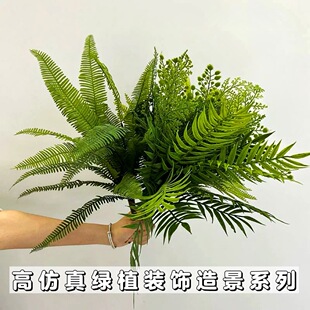 ֲ��ϵ��֮���в��ݷ����B�в���ާ�ֲ�� �҃ȾG�����^����