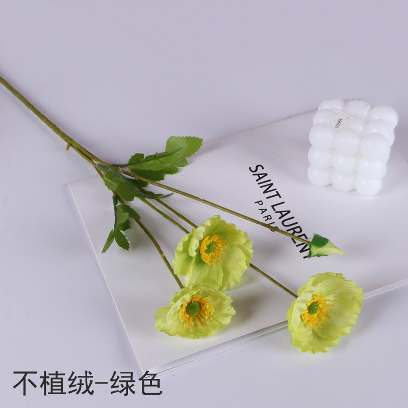 녹색-벨벳 가치가 없음