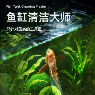 ������~���坍���ʹڼt����ֱ���C��̦���^�p�~�ԼS��������~