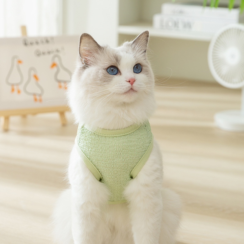 Gato primavera y verano lindo estilo coreano hueco y transpirable oso parche chaleco de tracción perro peluche mascota gato ropa