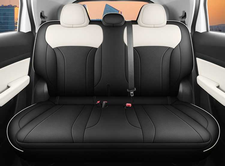 2024 Geely Geometry E Firefly special seat covers, all-inclusive seat covers, all-season car seat cushions, leather seat cushions