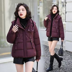 �̿��޷�2025�����¿����С���ӼӺ�r�б�ů��q��������