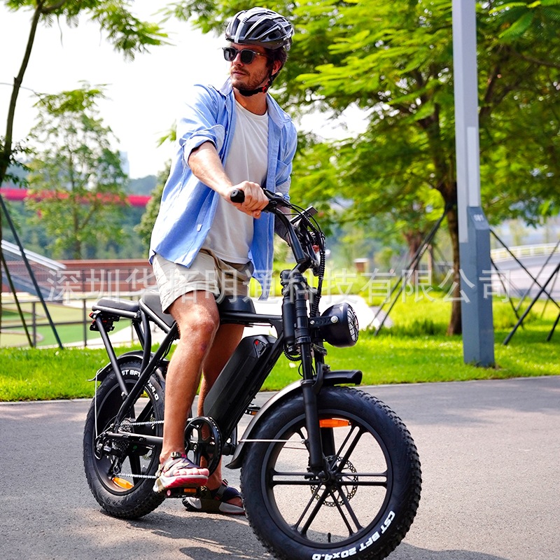 广东源头工厂批发20英寸胖胎雪地电动自行车越野OUXI欧美仓电动车
