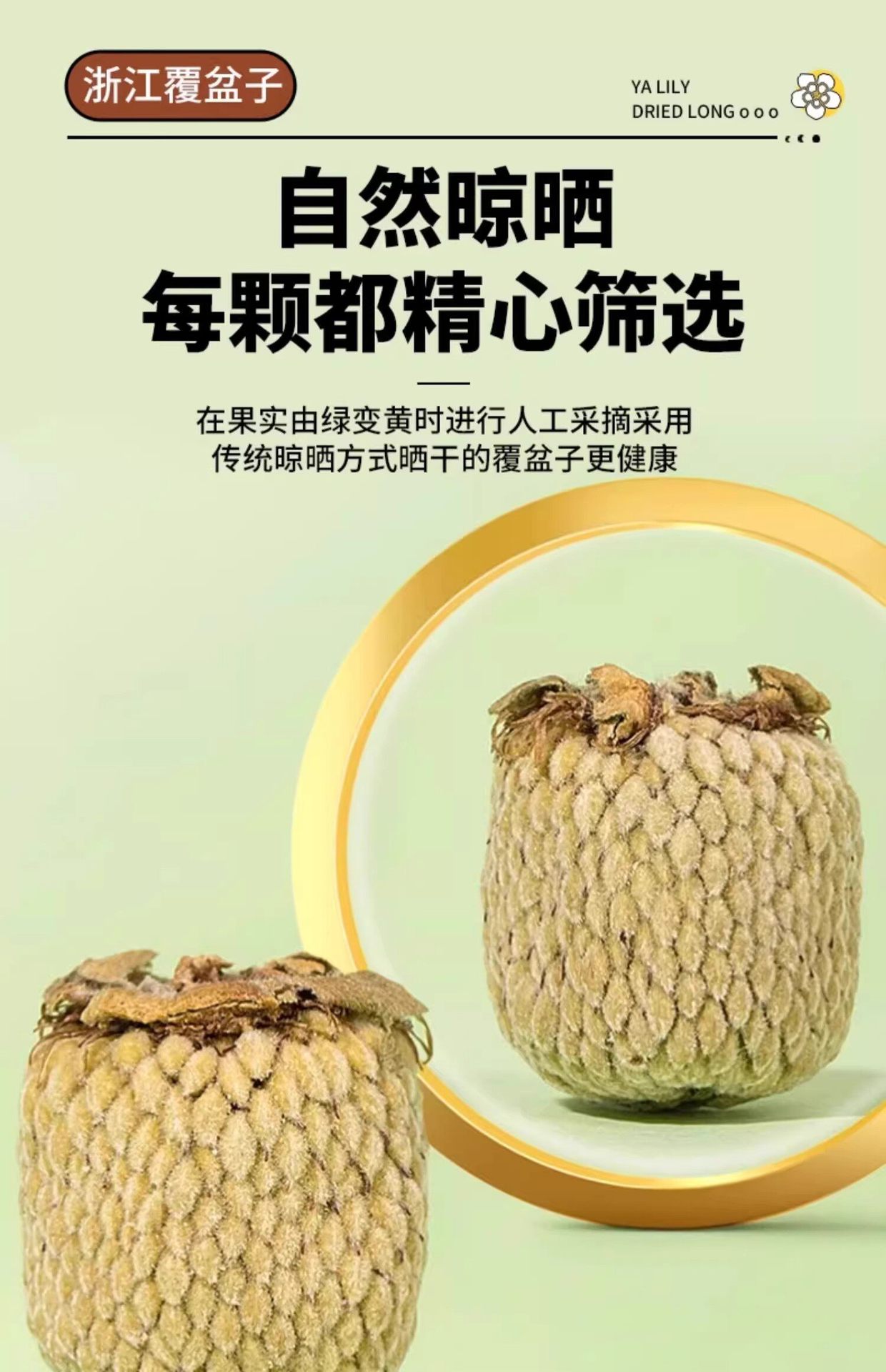 Fu Pen Zi Raspberry Dried Fruit Tea Chinese Herbal Tea for Daily Infusions 250g preparation