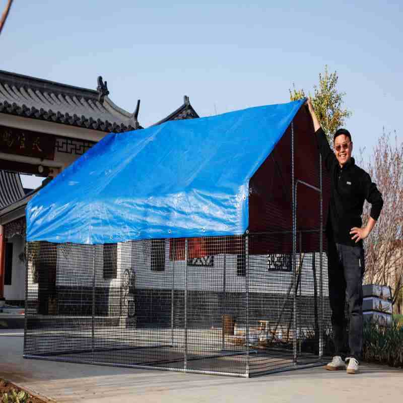 屋外鶏小屋、特大家禽鶏小屋、鶏小屋、鳩小屋、孔雀防雨鶏小屋、大型構築家庭用飼育小屋|undefined