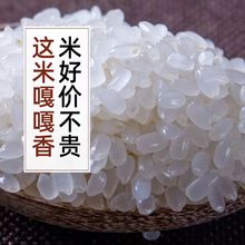 东北大米10斤黑龙江长粒香米5kg稻香贡米圆粒珍珠米5斤2023年新米