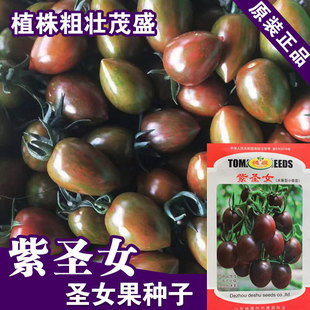 ���ҷ��ѷN�ӷ��������}Ů���N���߲˷N�����l�˷N���ѷN�ӹ�˾