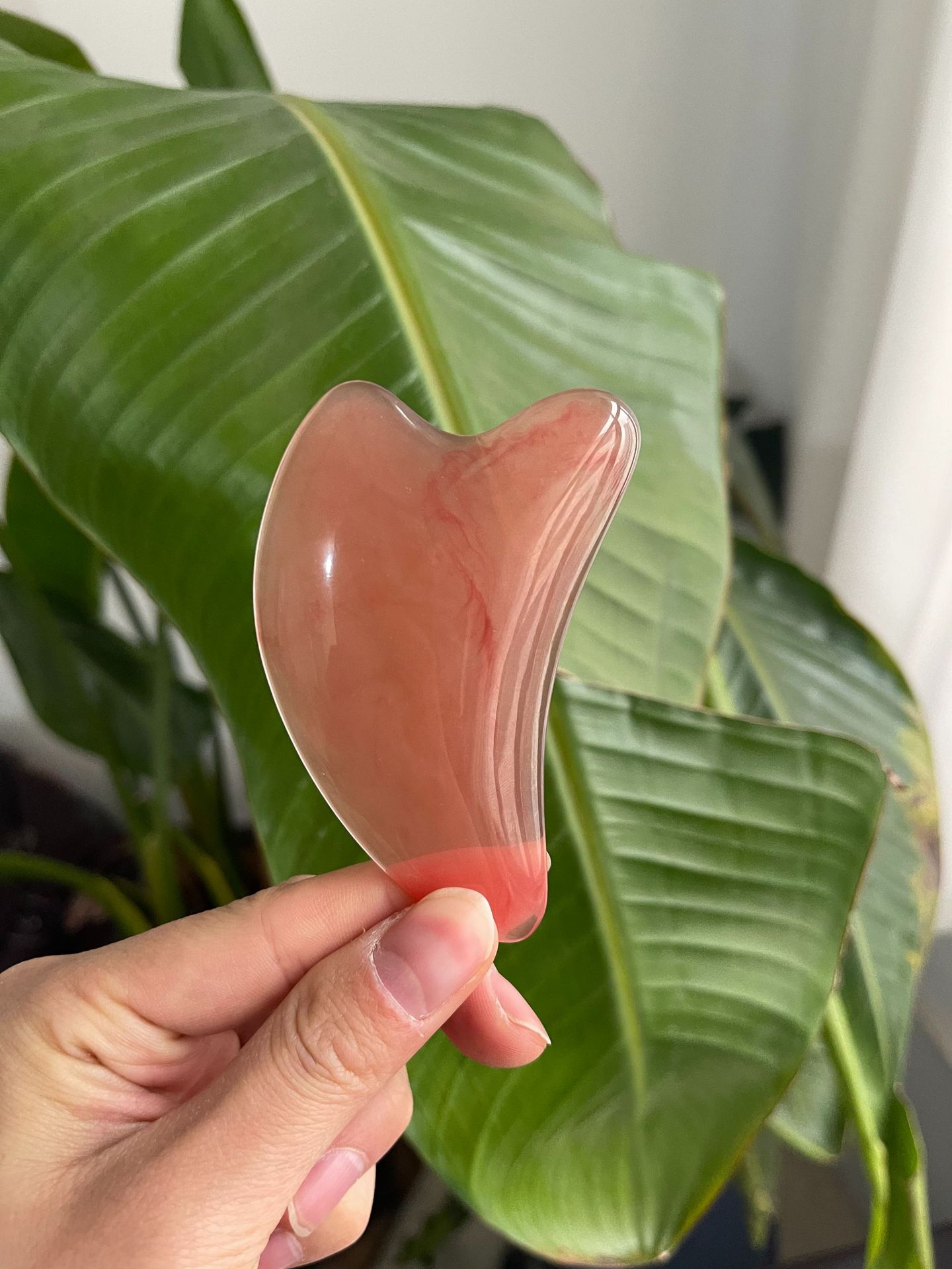 Скребок для порошка из смолы вишневого цвета