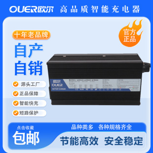 ԭbX48V늳ͨ늄܇ƿܔ54.6V10A