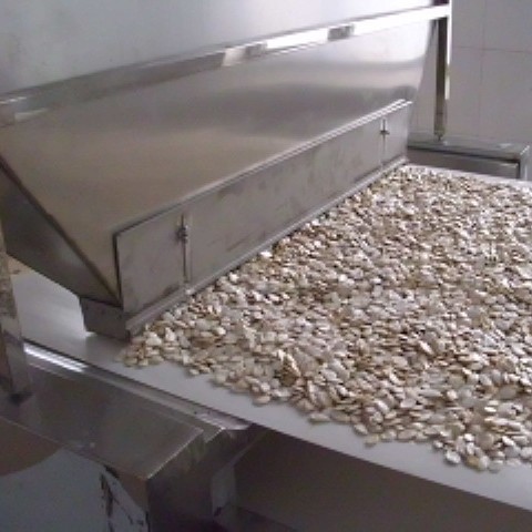 小型瓜子烘焙设备/微波干燥机械/坚果烘焙机械