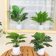 �Gֲ�辰�ٻ��k����С�����������Կ͏d�bGֲ�ҾӔ[��