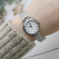 簡約時尚流行竹節帶女表百搭女生石英表外貿網絲帶潮表森系女士表