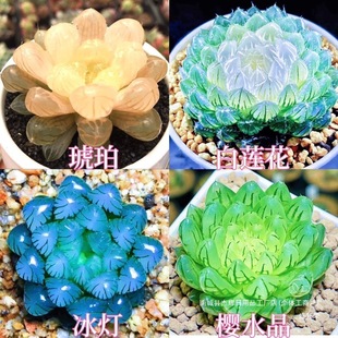 Mڰɏ¶Mɏ¿҃k҄[ݗ