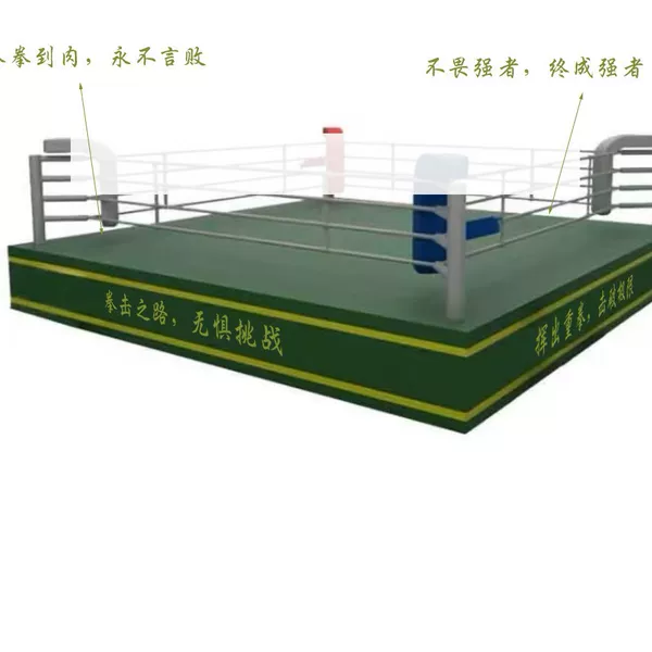 Cross-Border Professional Boxing Ring Floor Wrestling Stage Fighting Platform Martial Arts Training Competition Sanda Thickened Steel Pipe