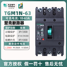 ⚤ʽ·TGM1N-63L/3300ľ63A՚_P