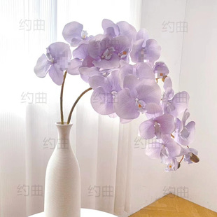 ��֧�����m���ָмٻ��[�O�[���Ƶ����һ��b��m���ɻ������滨