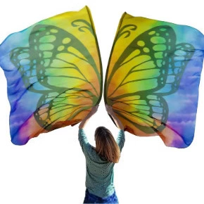 Трансграничные новые флаги-бабочки хвалят флаг