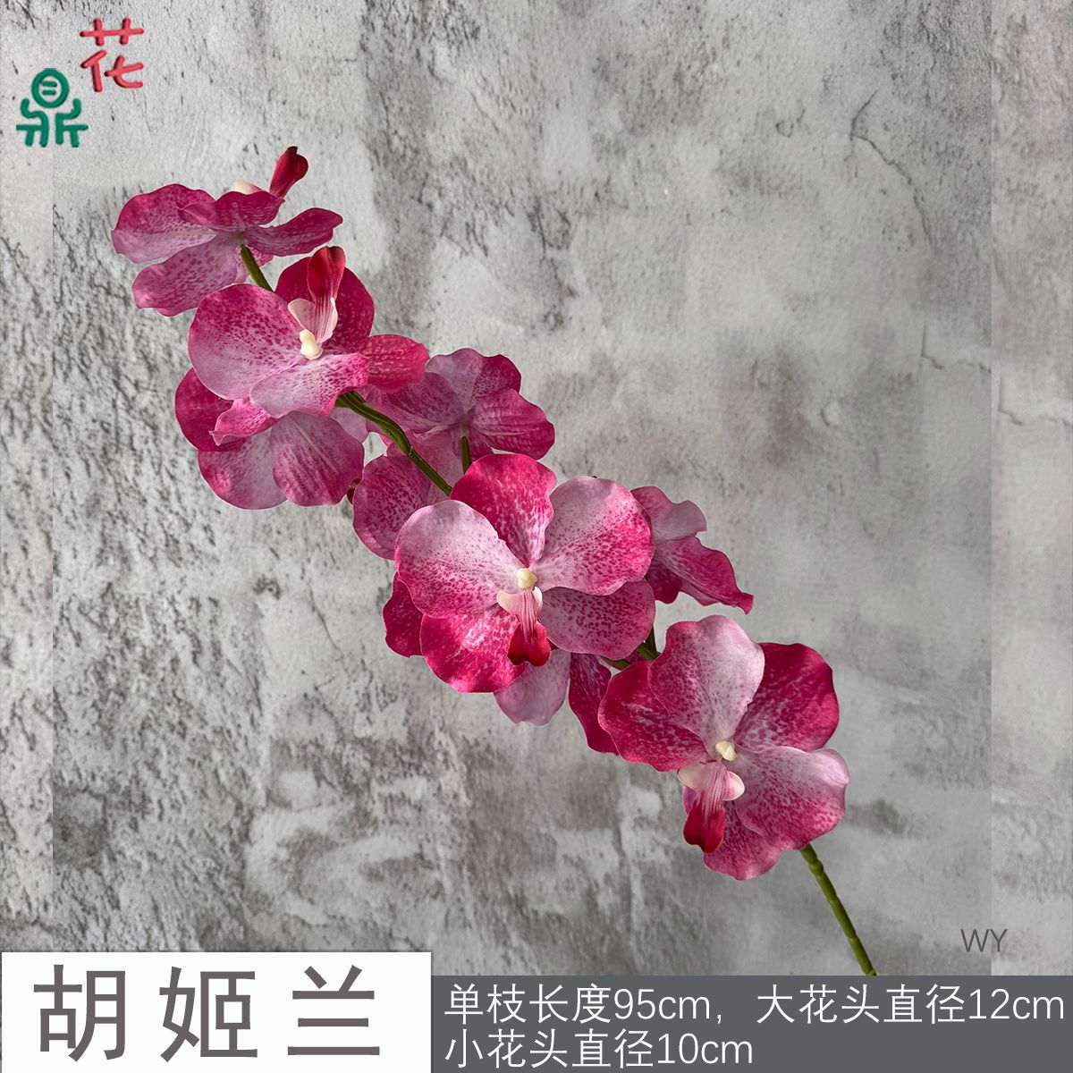 호지란 WY 로즈 레드
