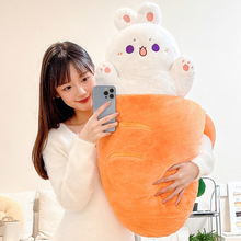 �ɐ����~��ë�q���؈����˯���턓�������L�l�A���Lë���}����ż