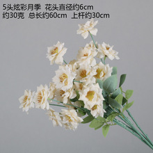 �㙉ɫ��c���滨��10֦�b�����ٻ�ӆ������̨�b�Y��·���廨