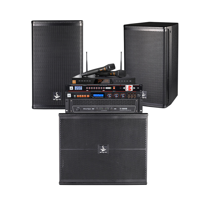 KTV equipo de sonido profesional bar de negocios sala de reuniones doméstica equipo de sala de baile con amplificador de alta fidelidad