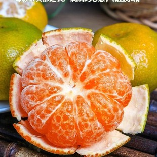 2025���r�Fժ�����GƤ��Ƥ�������۽��ӑ����ЋD��ˮ�����]����