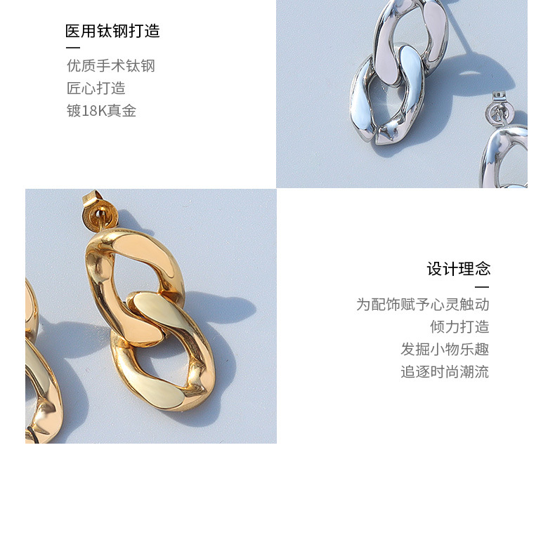 Simple Exaggerated Retro Metal Chain Earrings display picture 2