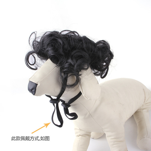 Z wholesale pet wigs and headwear for dogs and cats with bangs and afro teddy dress up funny holiday supplies