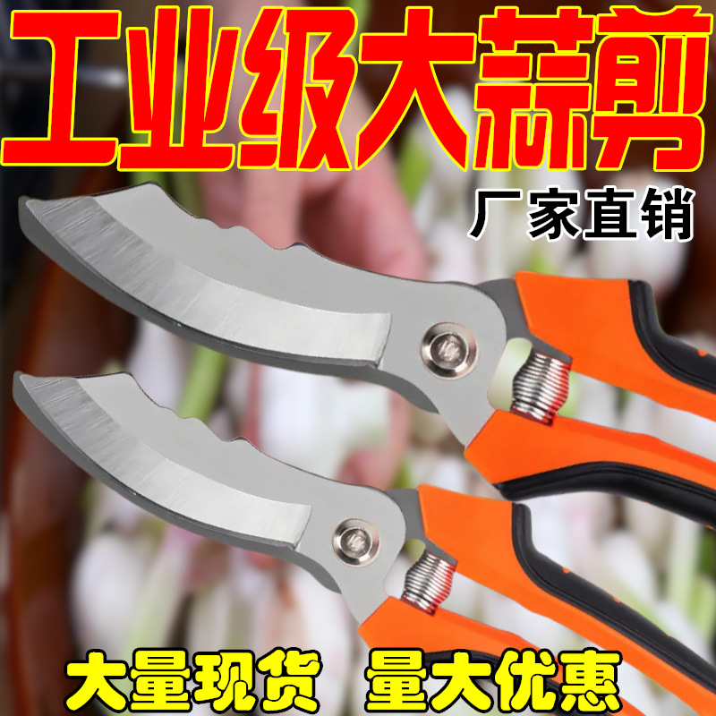 新款剪蒜头神器家用剪刀农用工具农村农活小农具闸刀大蒜专用剪刀