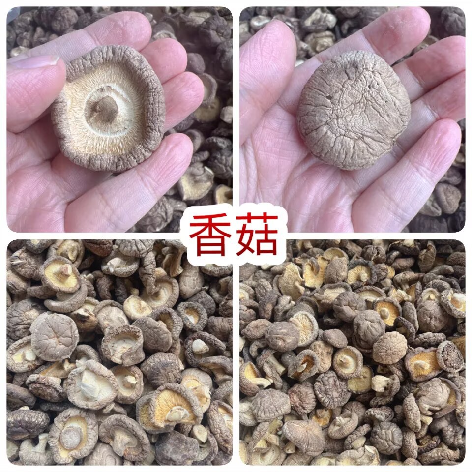 香菇 地摊电商批发香菇干冬菇花菇香菇干货批发
