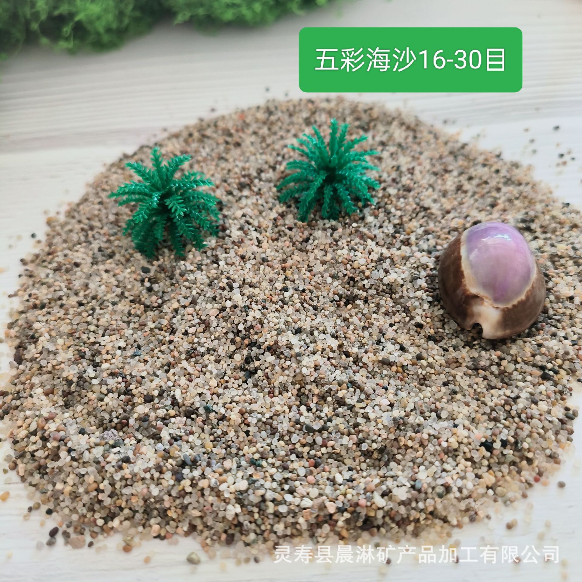 圆粒海砂儿童游乐场池砂园艺多肉铺面石圆粒砂水族底砂汗蒸沙疗砂