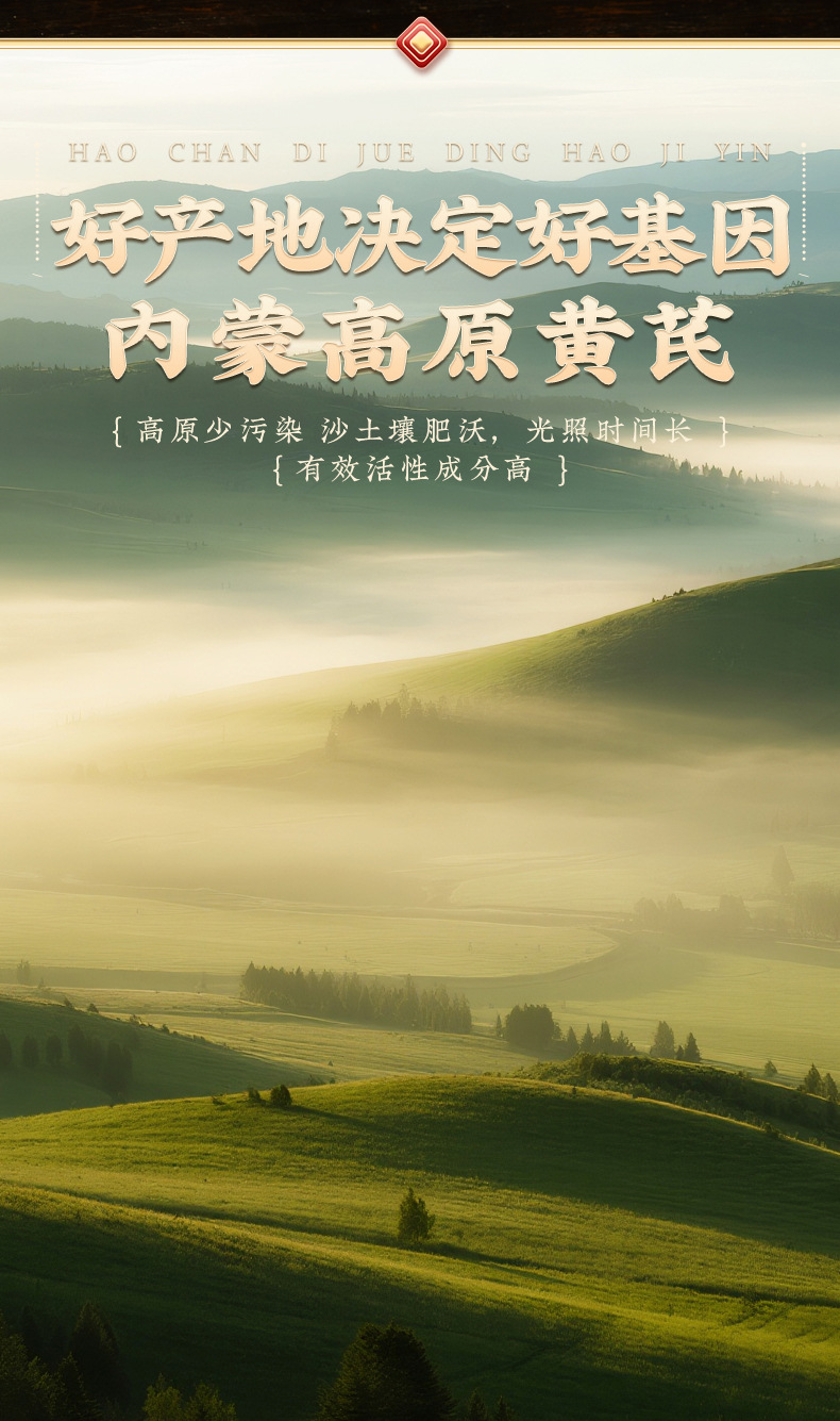 Dried Astragalus Root Slices Huangqi 500g Premium Northern Bei Qi Herbal Decoction Pieces overview