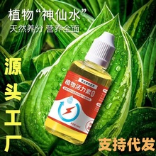 植物活力素生长促芽生根粉浓缩营养液花卉多肉绿植养花通用型肥料