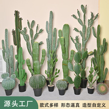 ����ɳĮ�������������҃���پGֲ�쾰��������̈�������߷���