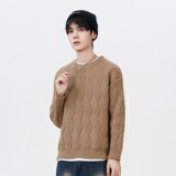 2026秋季新款青少年宽松圆领长袖针织衫运动风格透气罗纹底摆，男装针织衫/毛衣，星座614