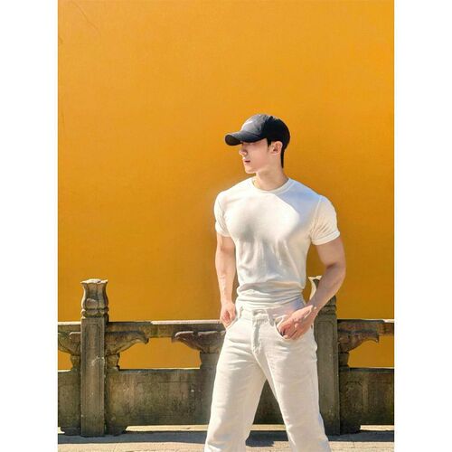 Men's Summer Half-Sleeve Quick-Drying T-Shirt with Ice Silk Elastic Sweat Absorbent Fitness Short Sleeve Breathable Round Neck Color Top