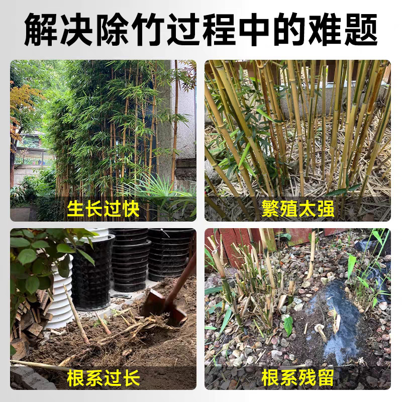 微信图片_202601261740323