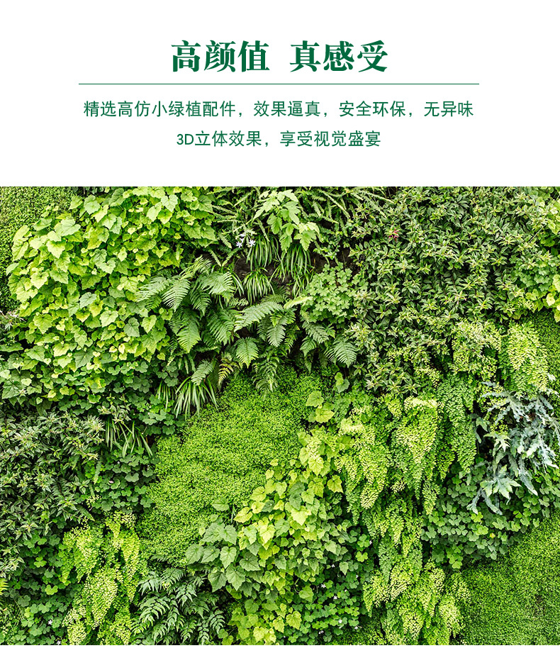 植物墙_07