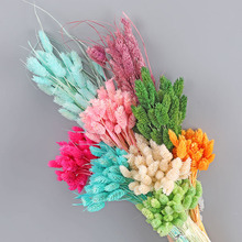 �ɻ����l��ʯ�ݸɻ������L�ɻ��Ҿ��b廨diy�����������β��